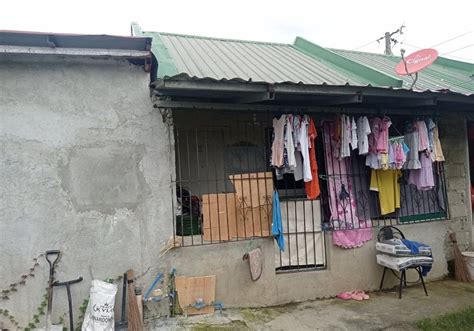 Malvar: 4233 .